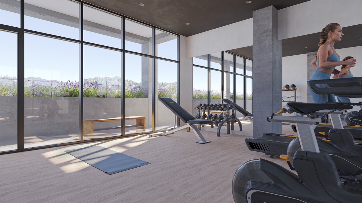 Gimnasio de RISE